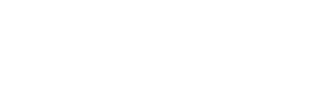 SongSurprise Logo White